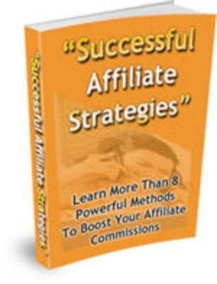 Product picture Successful Affiliate Strategies