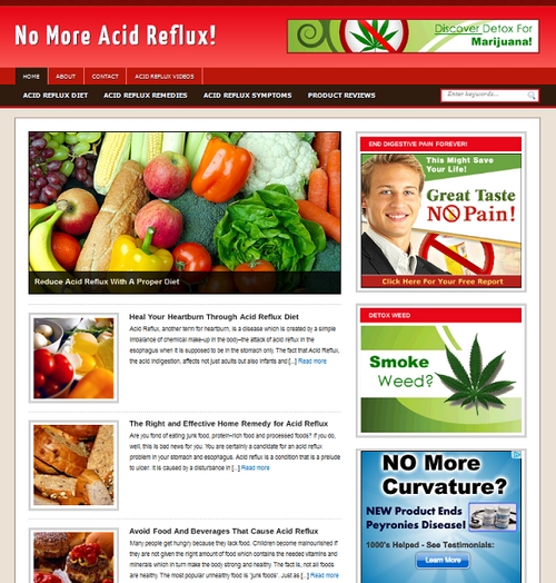 Product picture Acid Reflux Niche Blog