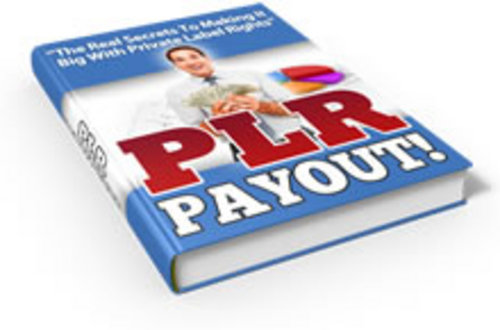 Product picture PLR Payout